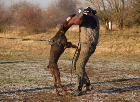 The christmas training 27.12.2006